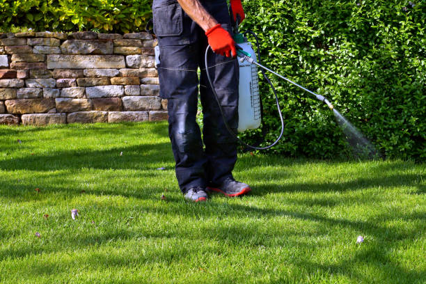 Best Organic or Eco-Friendly Pest Control  in Knightstown, IN